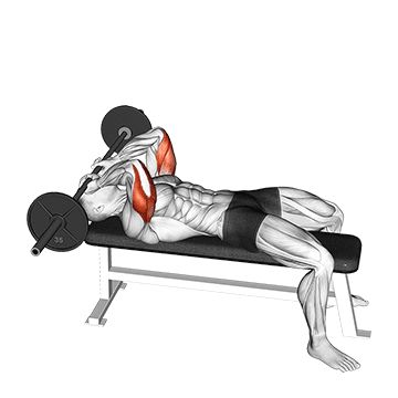 Французский жим лежа - Трицепс - Штанга: техника выполнения упражнения EONFIT Французский жим лежа - Трицепс - Штанга: техника выполнения упражнения EONFIT