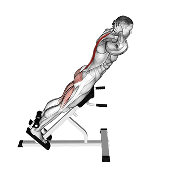 Гиперэкстензия - Спина - Свой вес: техника выполнения упражнения EONFIT Гиперэкстензия - Спина - Свой вес: техника выполнения упражнения EONFIT