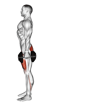 Обратные выпады - Ягодицы - Свой вес: техника выполнения упражнения EONFIT Обратные выпады - Ягодицы - Свой вес: техника выполнения упражнения EONFIT