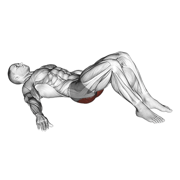 Ягодичный мост - Ягодицы - Свой вес: техника выполнения упражнения EONFIT Ягодичный мост - Ягодицы - Свой вес: техника выполнения упражнения EONFIT