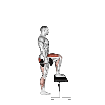 Зашагивания на тумбу - Ноги - Скамья: техника выполнения упражнения EONFIT Зашагивания на тумбу - Ноги - Скамья: техника выполнения упражнения EONFIT