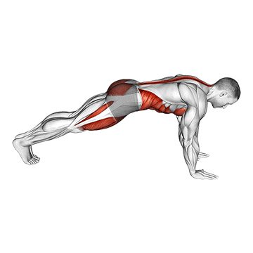 Альпинист - Пресс и кор - Свой вес: техника выполнения упражнения EONFIT