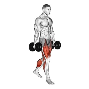 Фермерская прогулка - Все тело - Гантели: техника выполнения упражнения EONFIT