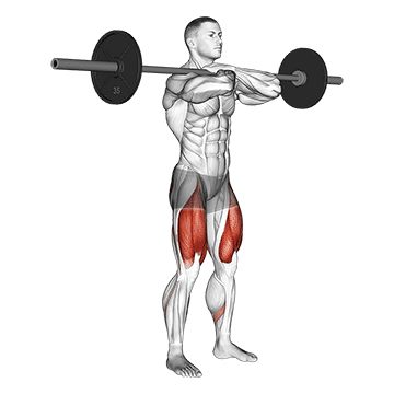Фронтальные приседания - Ноги - Штанга: техника выполнения упражнения EONFIT