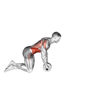Колесо для пресса - Пресс и кор - Свой вес: техника выполнения упражнения EONFIT