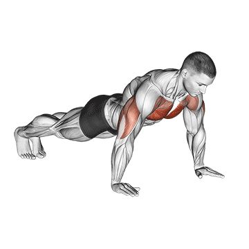 Отжимания от пола - Грудь - Свой вес: техника выполнения упражнения EONFIT