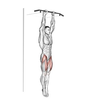 Подъем ног в висе - Пресс и кор - Свой вес: техника выполнения упражнения EONFIT