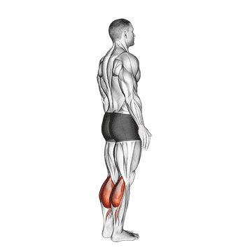 Подъемы на носки стоя - Ноги - Тренажер: техника выполнения упражнения EONFIT
