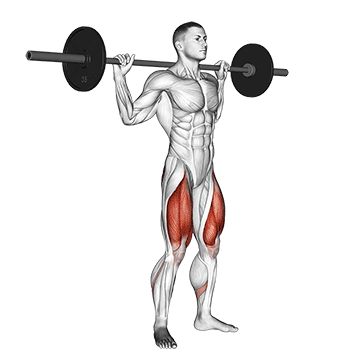 Приседания со штангой - Ноги - Штанга: техника выполнения упражнения EONFIT