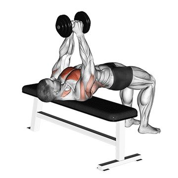 Пуловер с гантелью - Грудь - Гантели: техника выполнения упражнения EONFIT