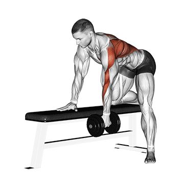 Тяга гантели одной рукой - Спина - Гантели: техника выполнения упражнения EONFIT