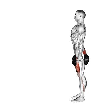 Выпады с гантелями - Ноги - Гантели: техника выполнения упражнения EONFIT