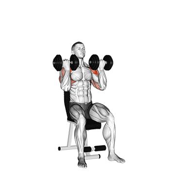 Жим Арнольда - Плечи - Гантели: техника выполнения упражнения EONFIT