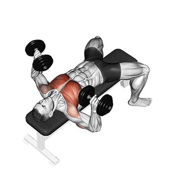 Жим гантелей лежа - Грудь - Гантели: техника выполнения упражнения EONFIT
