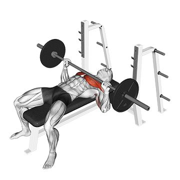 Жим штанги лежа - Грудь - Штанга: техника выполнения упражнения EONFIT