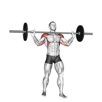 Жим штанги стоя - Плечи - Штанга: техника выполнения упражнения EONFIT