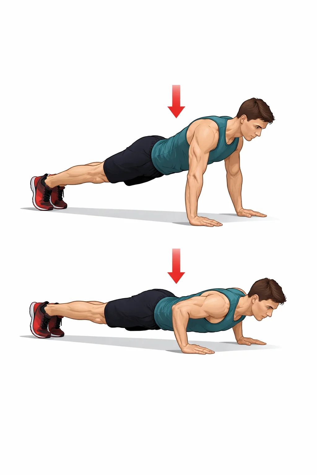 Отжимания — развивают грудные, плечевые и трицепсы