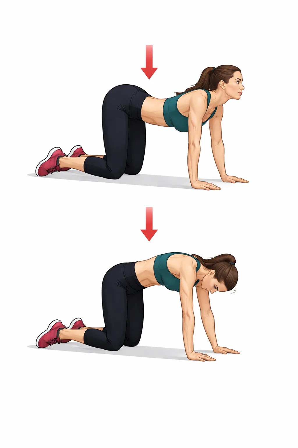 «Кошка-корова» — 10 медленных циклов