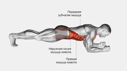 Статическая планка на локтях